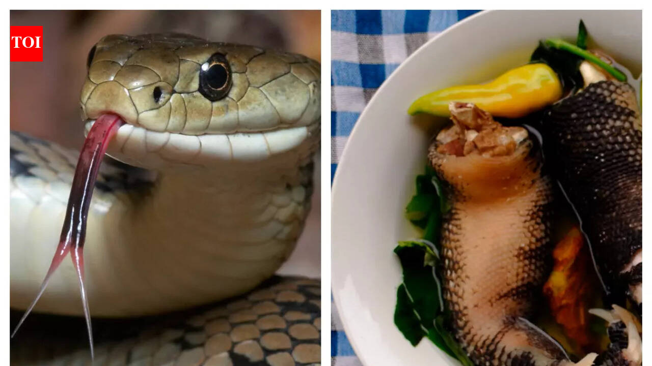 Snake Soup: Is the Cantonese delicacy an Asian elixir?