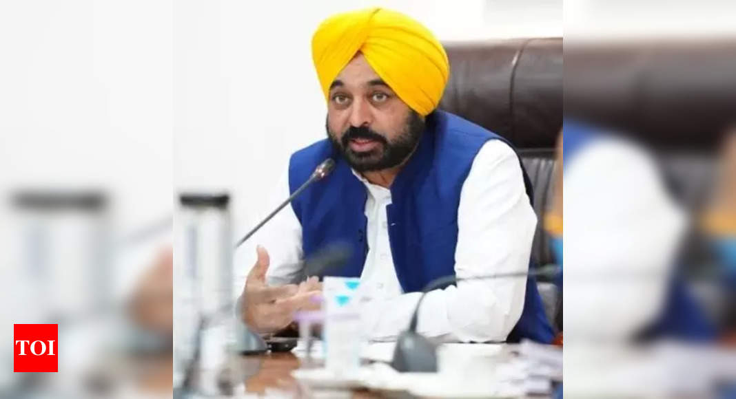 Punjab to emerge as medical education hub, says CM Bhagwant Mann – Times of India