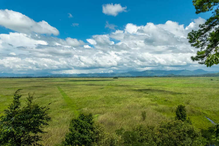 Keibul Lamjao National Park, Manipur