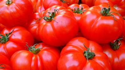 Mumbai: Tomato price drops to Rs 10-20 per kg as winter cools vegetable prices