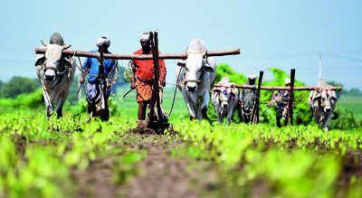 Maharashtra farmer gets Rs 1.76 as crop damages