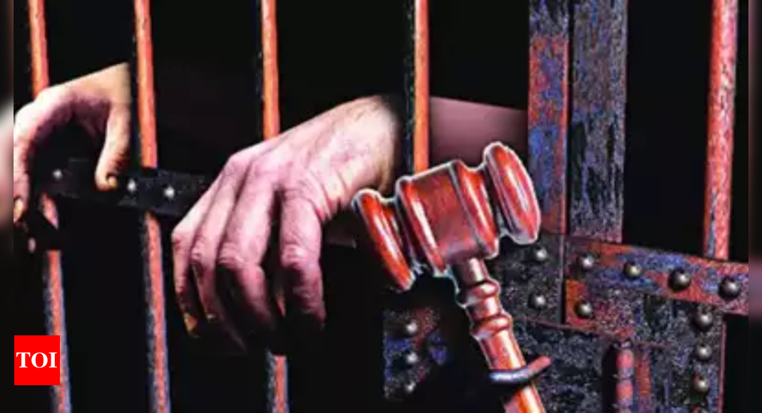 1069px x 580px - Dad gets 10-year rigorous imprisonment for sex abuse of 11-year-old girl |  Mumbai News - Times of India