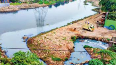 Tamil Nadu: Install CCTV, intensify patrolling to stop cooum pollution, says NGT