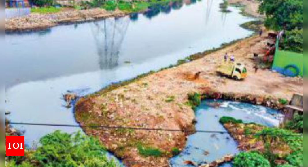 ngt-tamil-nadu-install-cctv-intensify-patrolling-to-stop-cooum