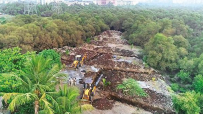 Navi Mumbai: 4 hectares of mangrove land reclaimed in Vashi after razing illegal huts
