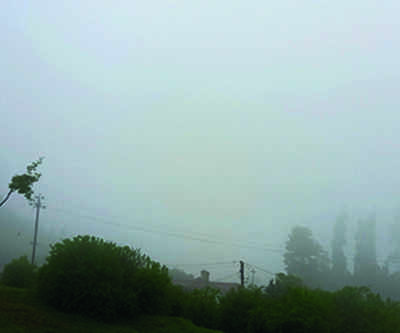 Thick mist, chilling cold make life hard for Nilgiris residents