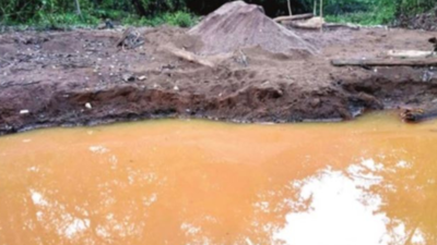 Goa: Sattari illegal sand mining poses threat to Mhadei
