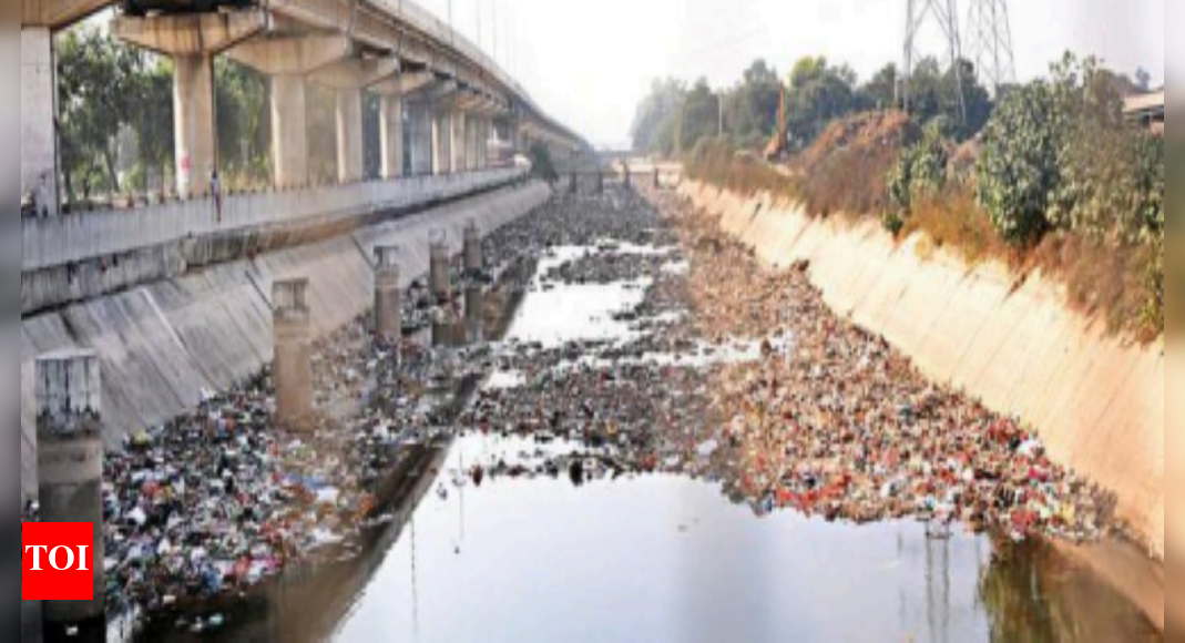 Ngt: Punjab: NGT seeks factual report on Sidhwan canal pollution ...