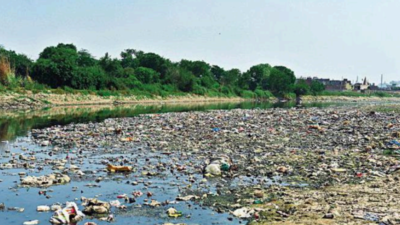 Noida: NGT orders panel to submit factual report on Hindon pollution in 2 months