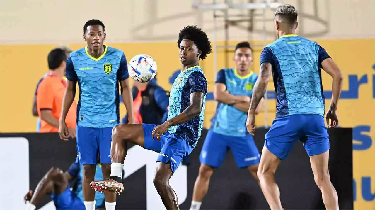 FIFA world cup Qatar 2022 Today matches: Netherlands vs Qatar, Ecuador vs  Senegal, Guide to check FIFA world cup 2022 LIVE score, schedule, points  table, fixtures