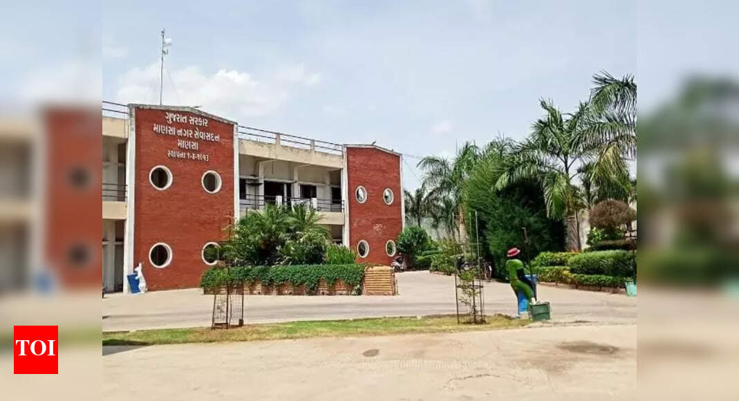 Gujarat Election 2022 Can Gujarat’s richest steal Mansa assembly seat