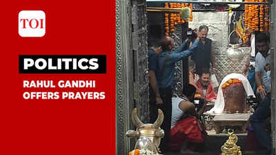 Bharat Jodo Yatra: Rahul Gandhi offers prayers at Mahakaleshwar in Ujjain