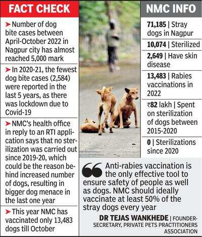 Dog bite cases in Nagpur set to break last 2 year’s record this time