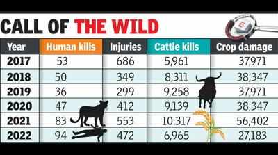 94 deaths in 11 months, man-animal conflict is at its peak