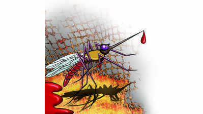 October records highest number of dengue cases