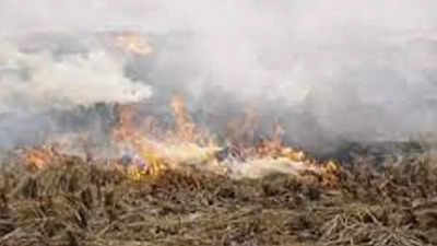 Eight stubble burning cases in Punjab