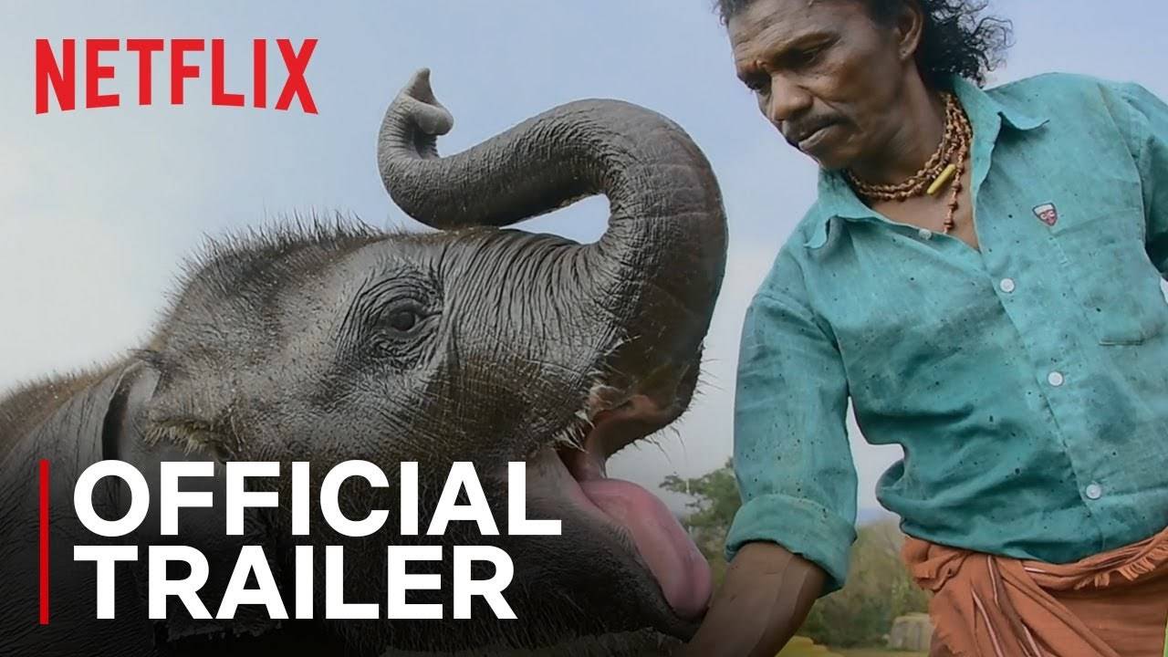 The Elephant Whisperers - Official Trailer