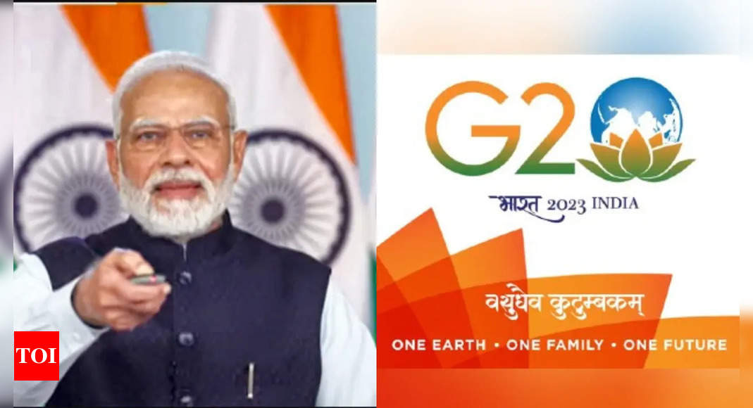 India to use G20 presidency for global biofuels alliance – Times of India
