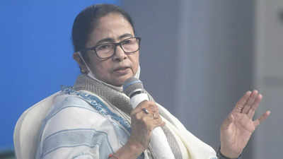 West Bengal: CM Mamata Banerjee makes surprise visit to remote village, interacts with villagers