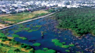 Hyderabad: 15 acre in Mahavir Harina Vanasthali National Park turns into a cesspool