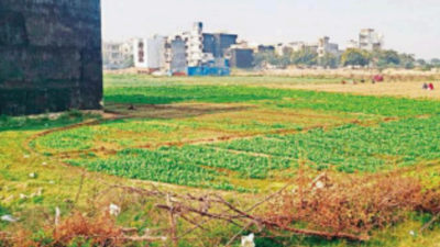 Noida: There are over 300 flats in this sector, but no park to visit