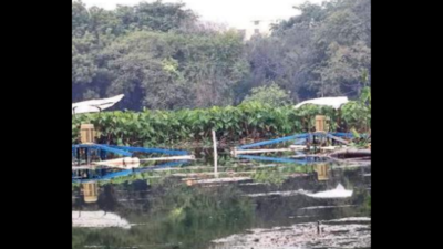 Microbubble tech to help revive Lucknow lakes
