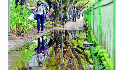 HC washes its hands of flooded Kochi
