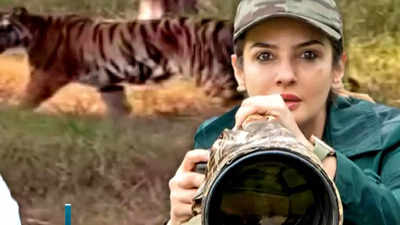 Raveena Tandon gets relief in Satpura Tiger Reserve case, forest dept says ‘It’s responsibility of driver to follow rules and regulations’