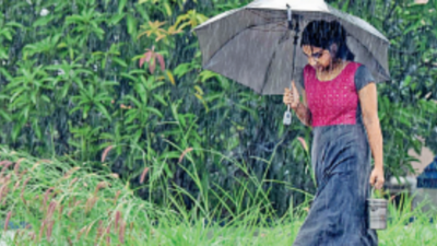 Moderate rain in Kerala for 4-5 days