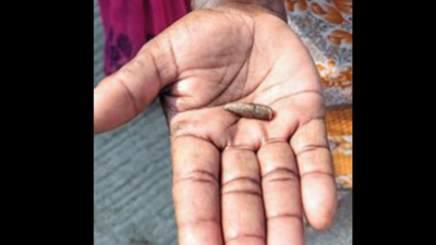 Tamil Nadu: 2 bullets found in village near firing range
