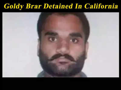 Sidhu Moose Wala’s Murder: Goldy Brar, the mastermind behind the assassination detained in California