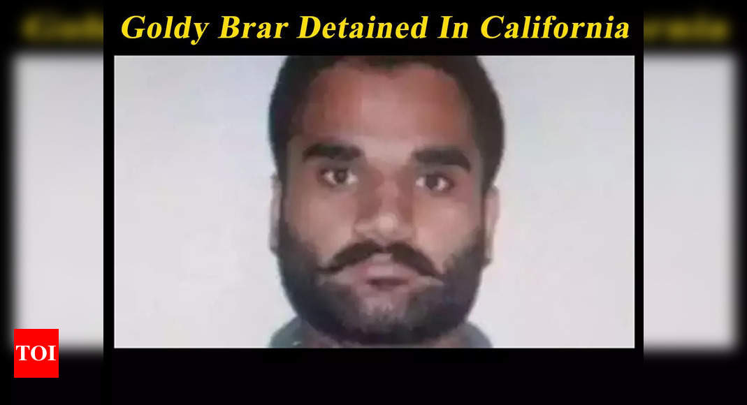 Sidhu Moose Wala’s Murder: Goldy Brar, the mastermind behind the assassination detained in California – Times of India