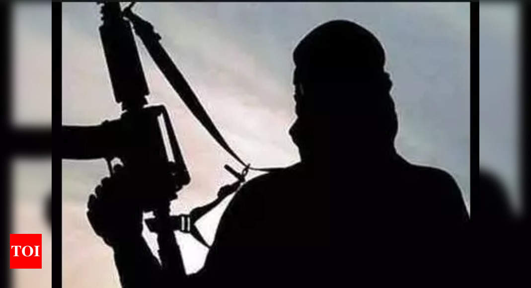 US designates 4 leaders of AQIS, TTP as global terrorists – Times of India
