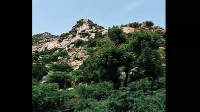 Nicobar’s loss, Haryana’s gain: Protected tag for Aravali tract in Gurugram & 3 districts