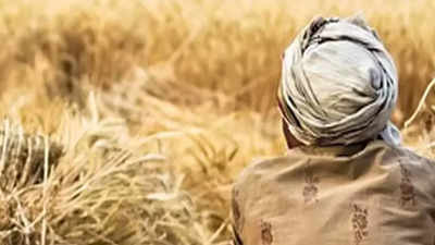 Ryot seeking suicide nod to get agriculture power connection as per waiting list