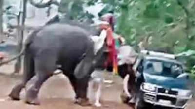 Kerala: Elephant runs amok during temple fest in Palakkad, overturns vehicle