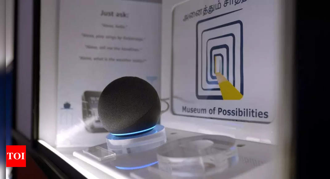 Watch: How Museum of Possibilities uses Echo smart speakers and Alexa to help people with disabilities – Times of India