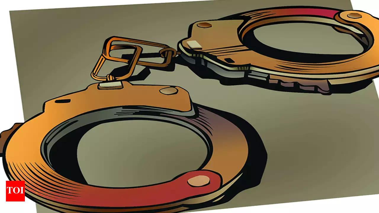 russianrape Goa: Nepalese room boys arrested for rape of Russian in her room | Goa News  - Times of India