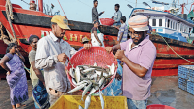 Microplastics found in fish samples in Cochin estuary: Cusat study