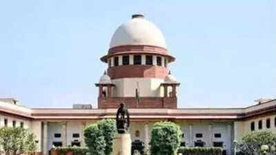 Supreme Court asks Rajasthan, Gujarat to assess power lines
