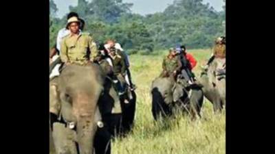 Assam: Over 50,000 tourists visit Kaziranga since October