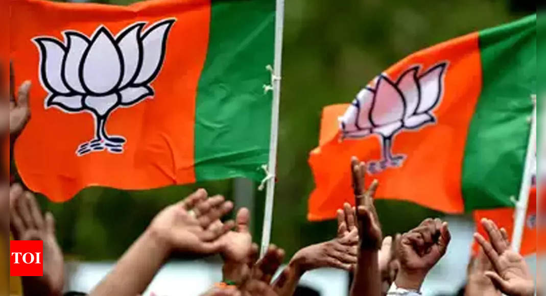 BJP’s Mission South gains momentum post Kashi Tamil Samagam | India News – Times of India
