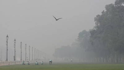 Non-essential construction work in Delhi-NCR banned as air quality worsens
