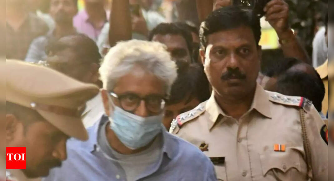 Navlakha&rsquo;s companion made to surrender booze