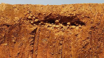 Centuries-old cannonballs found in Udupi district