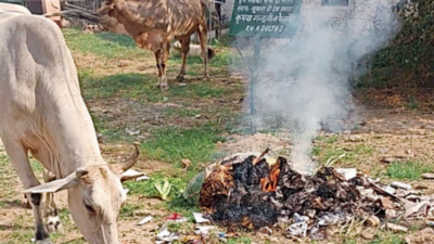 Greater Noida: Garbage not collected in Sector Delta 1, residents start burning it