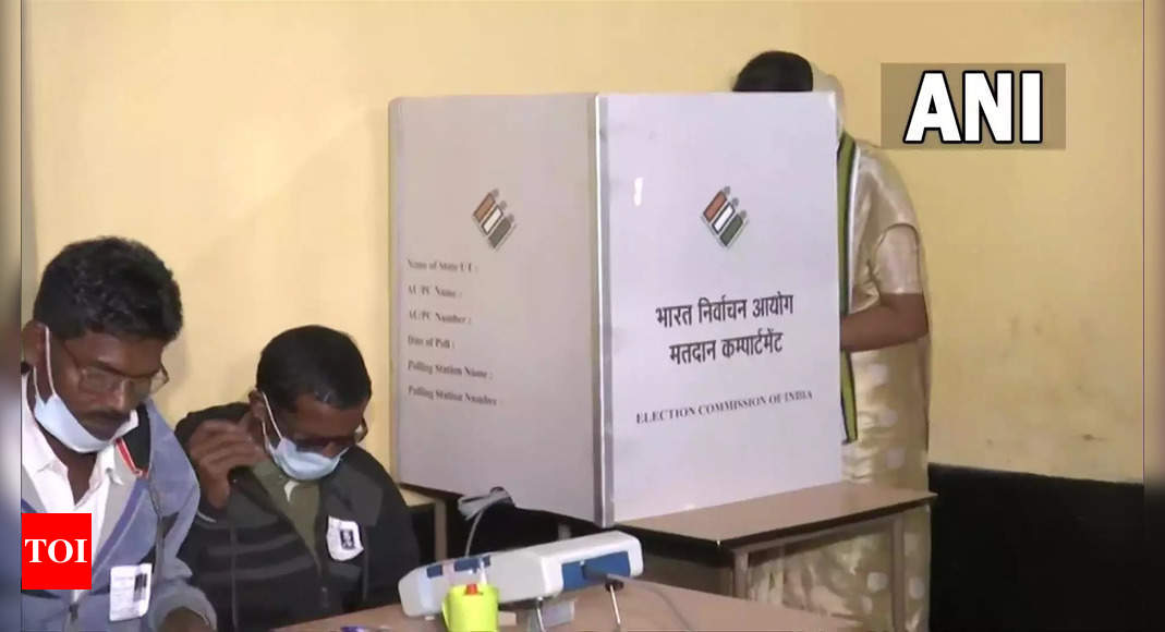 Voting Under Way In Bypolls For Mainpuri Lok Sabha And Assembly Seats Across States India