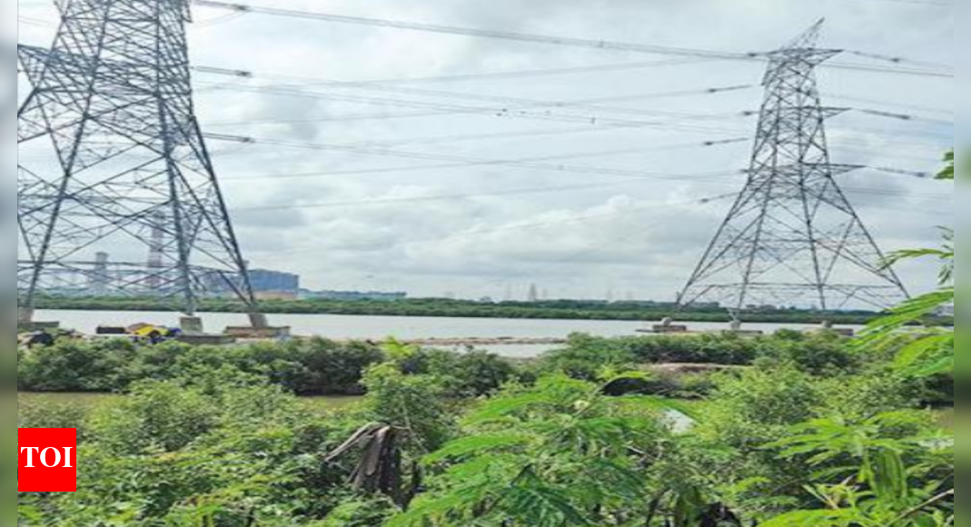 Ngt Tamil Nadu Transmission Corporation violates NGT orders, fails to remove towers from river