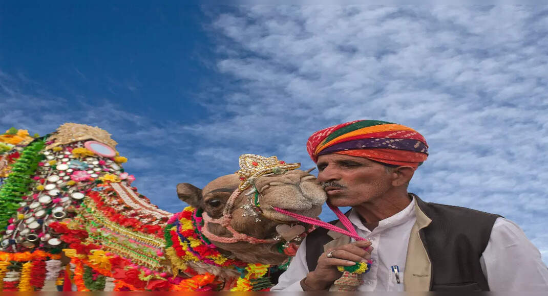 Bikaner to host the annual Bikaner Camel Festival; all the details here