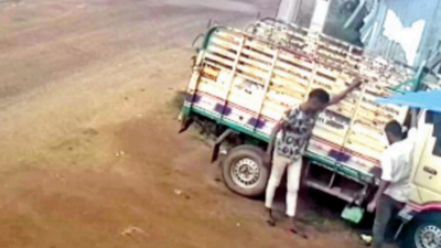 Tamil Nadu: Youths steal battery from truck in broad daylight